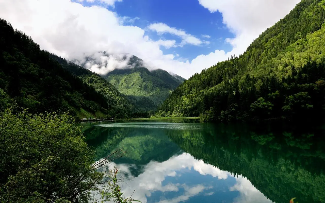 创新高性能
